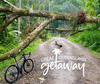 A photo of an e-gravel bike in the rainforest, with the logo for the Great Queensland Getaway promotion