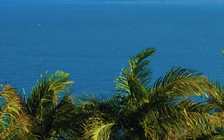 A photo of green palm trees against a bright blue sea, with the Reef 2 Reef logo at the top